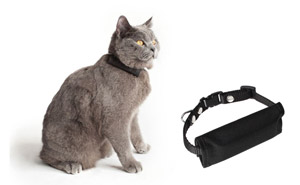 GPS-Halsband für Katzen