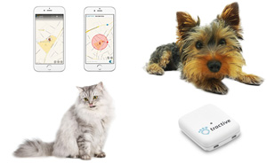 GPS für Hunde und Katzen von Tractive